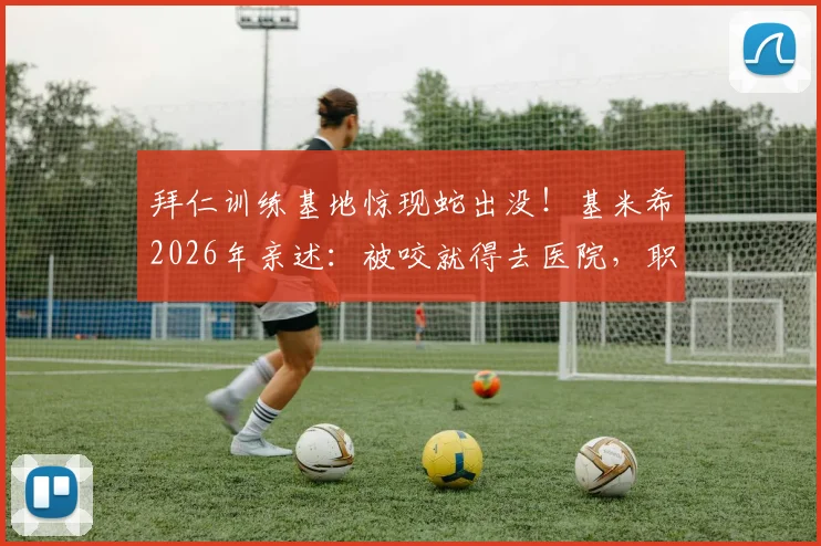 拜仁训练基地惊现蛇出没!基米希2026年亲述:被咬就得去医院,职业俱乐部如何防范野生动物风险